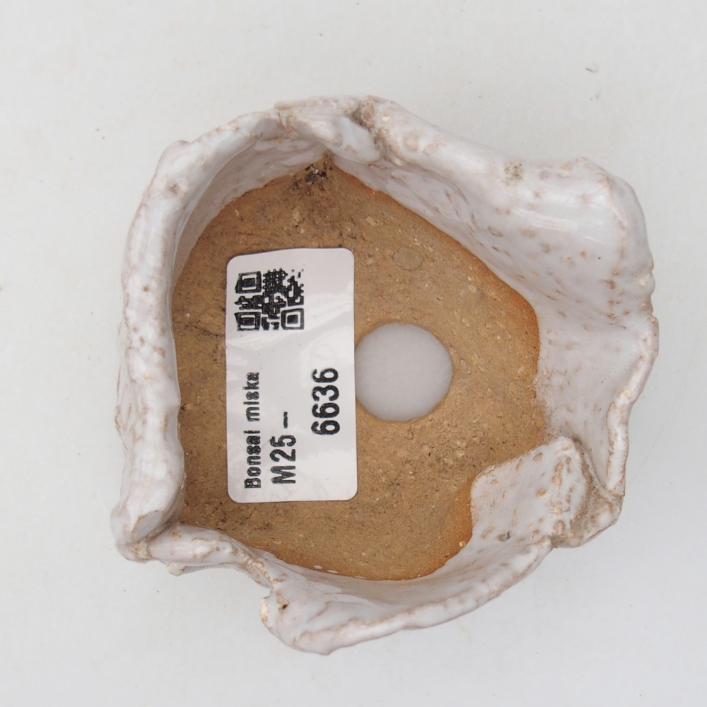 Kerámia kagyló 8 x 7 x 4,5 cm , fehér színű