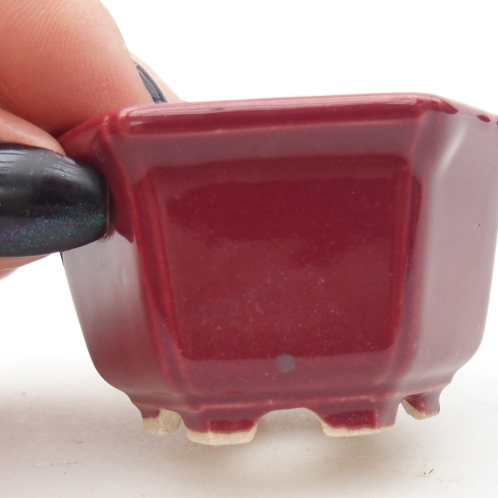 Mini bonsai tál 5 x 4,5 x 3 cm, bordó színű