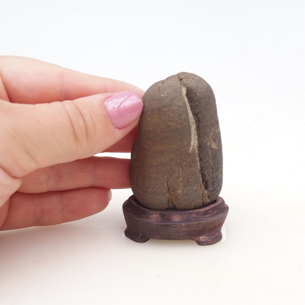 Suiseki - Kő DAI-val (fa alapon)