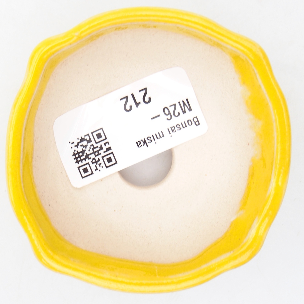 Mini bonsai tál 6,5 x 6,5 x 2,5 cm, sárga