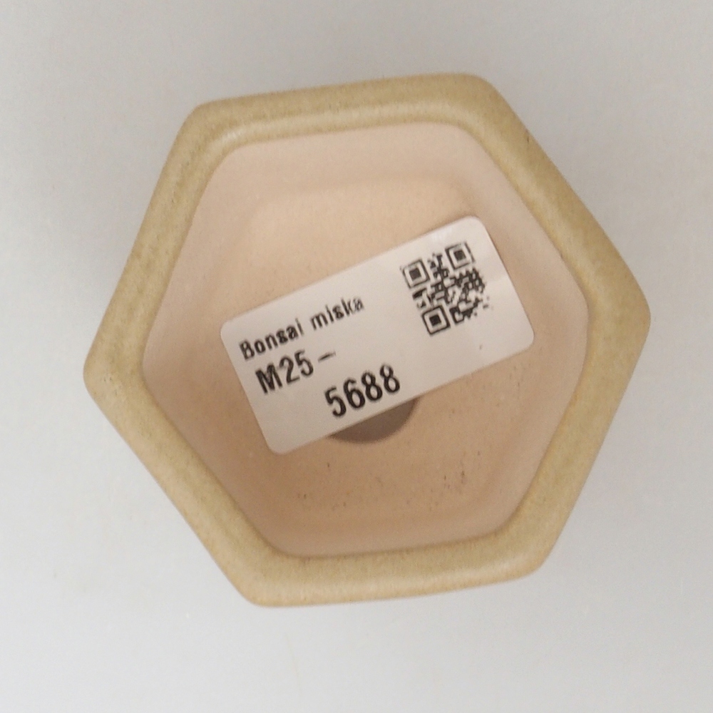 Mini bonsai tál 6,5 x 6 x 4 cm, barna