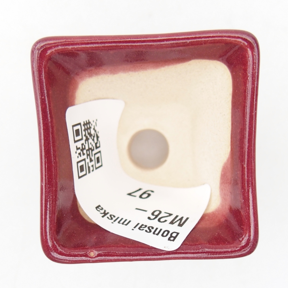 Mini bonsai tál 4 x 4 x 3,5 cm, bordó színű