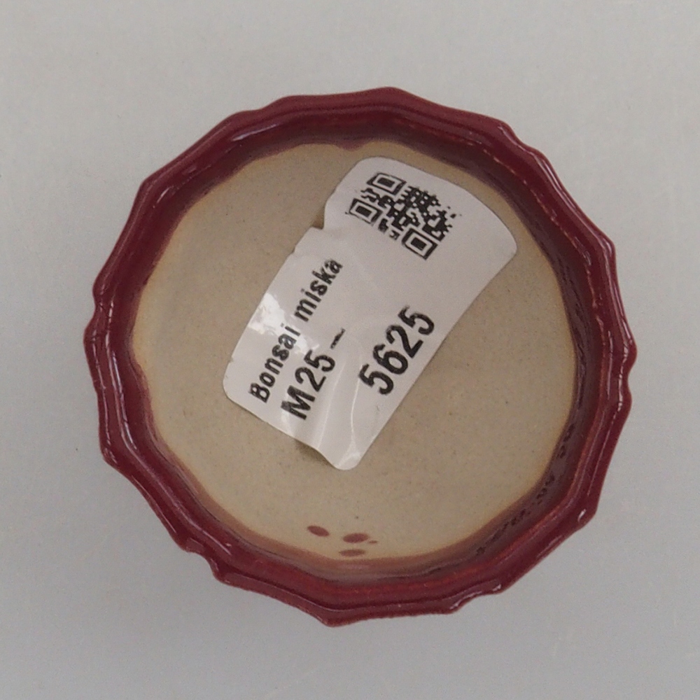 Mini bonsai tál 5 x 5 x 3 cm, bordó színű