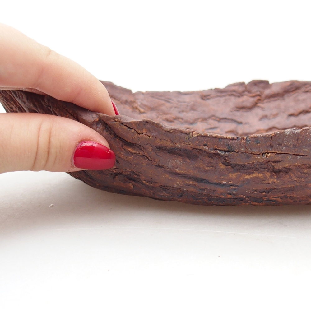 Kerámia kagyló 27 x 19 x 7 cm , színe barna