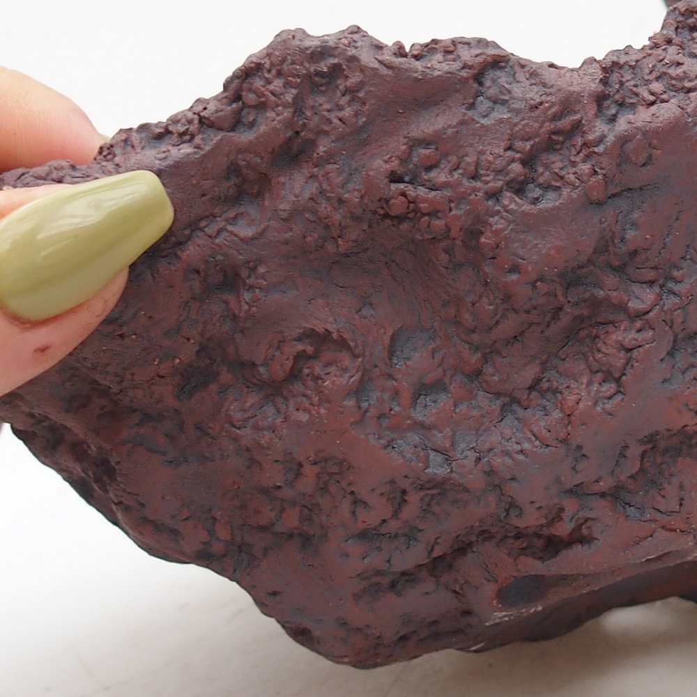 Kerámia kagyló 14 x 12,5 x 12 cm , barna színű