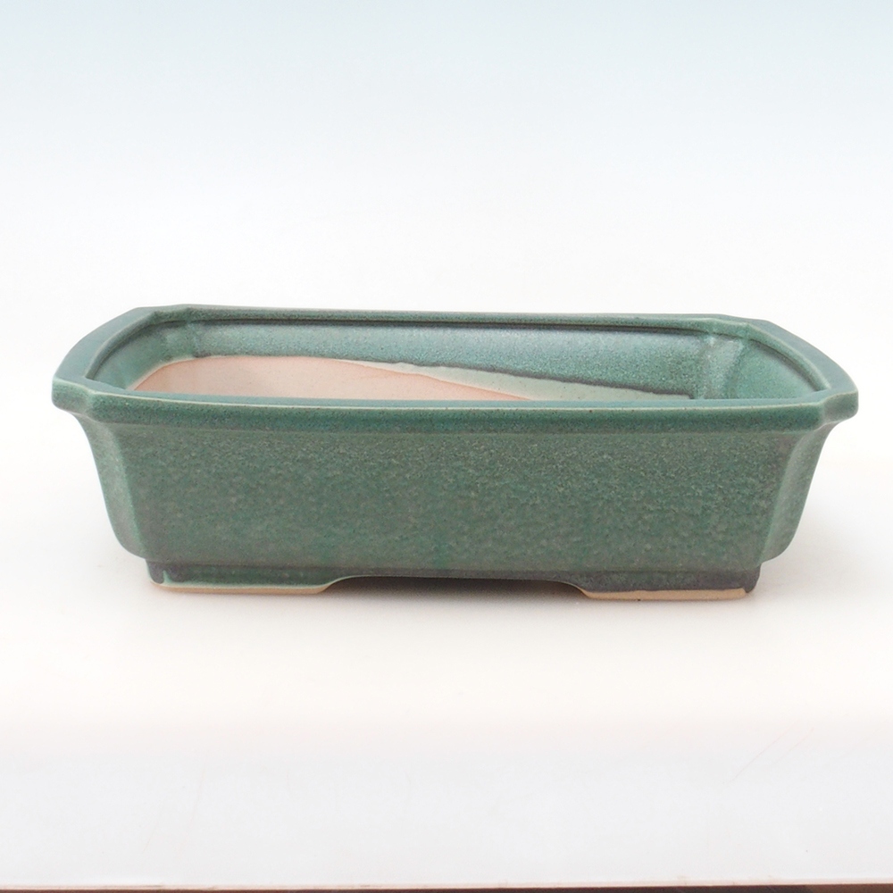 Bonsai tál + csészealj H07 - 30 x 20,5 x 8 cm. - zöld