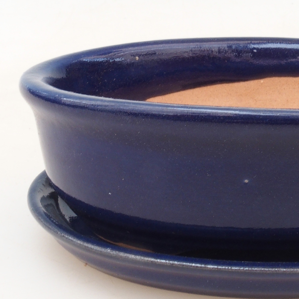 Bonsai tál + csészealj H04 - kék