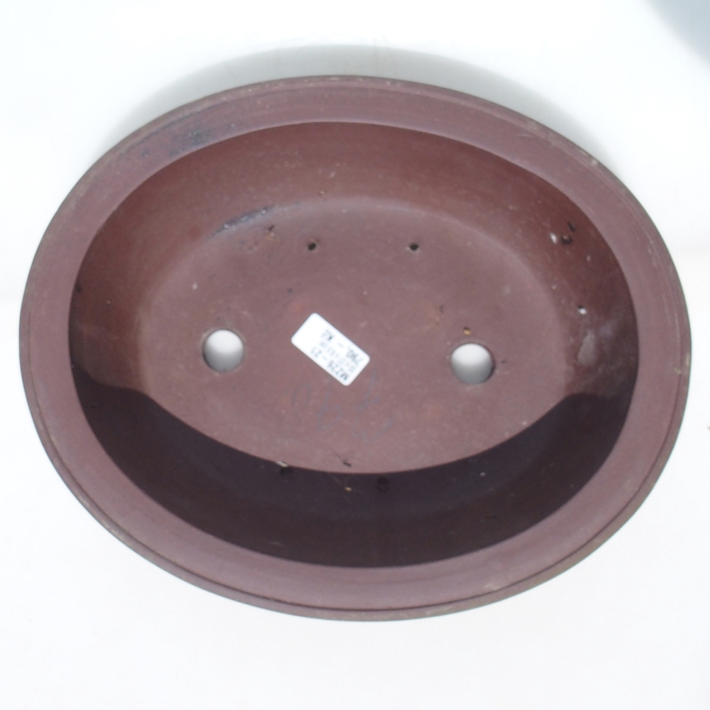 Bonsai tál 33 x 27 x 8,5 cm nyírfa barna