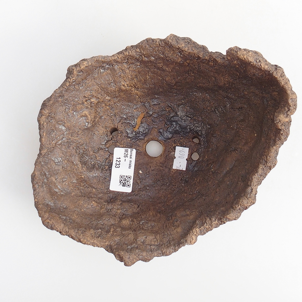 Kerámia kagyló 19 x 15 x 14 cm , barna színű