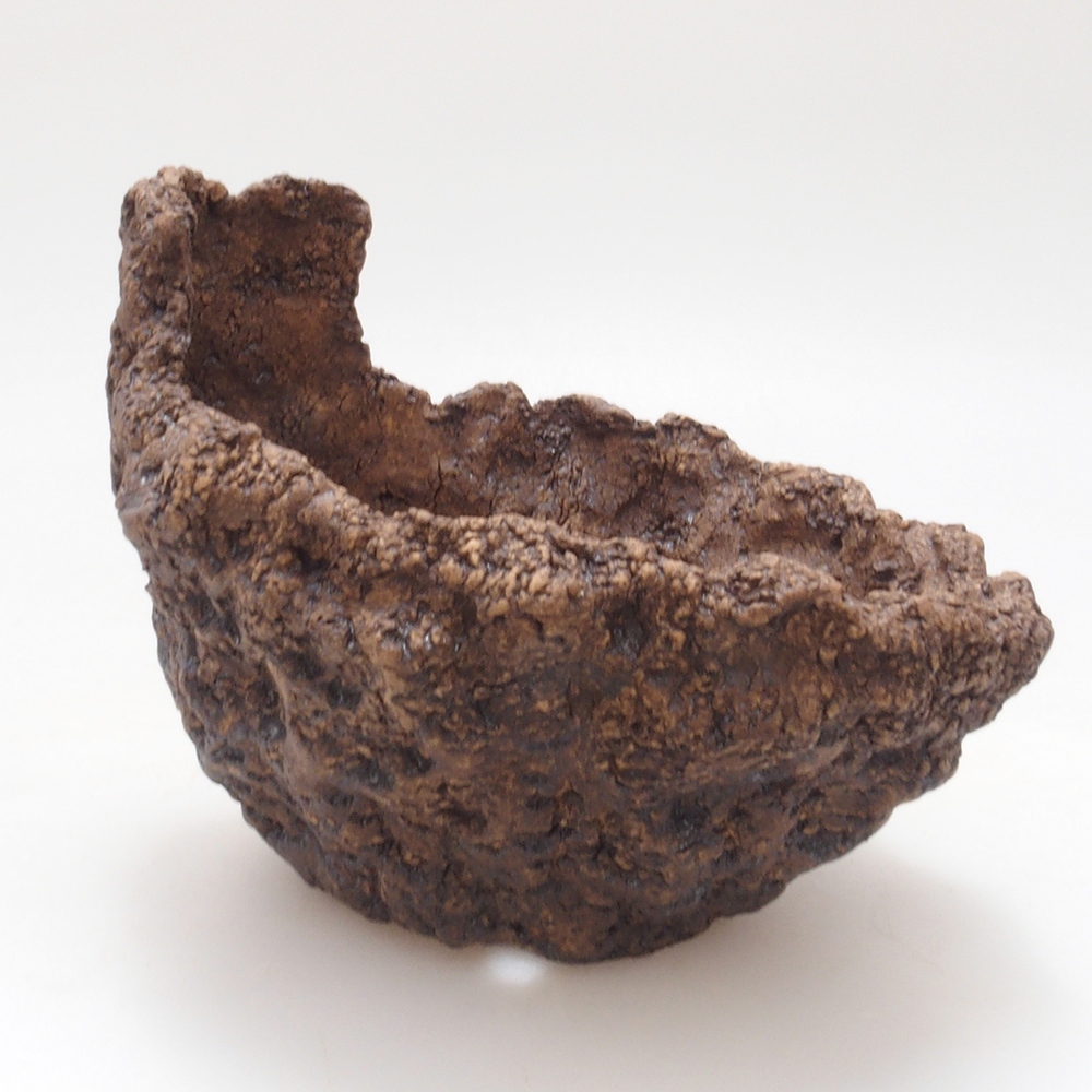 Kerámia kagyló 9 x 8 x 8,5 cm , barna színű