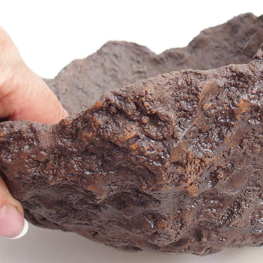 Kerámia kagyló 19 x 15 x 14 cm , barna színű