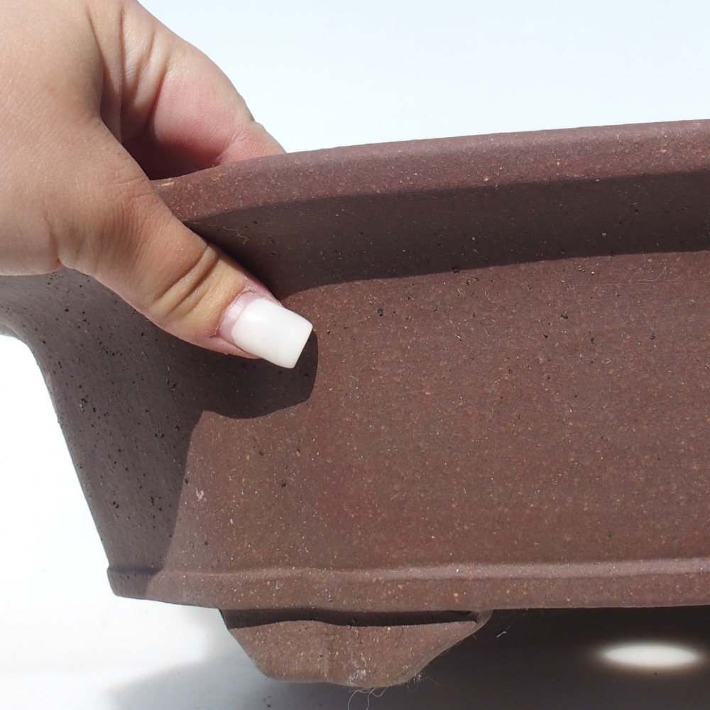 Bonsai tál 38 x 38 x 10,5 cm nyírfa barna