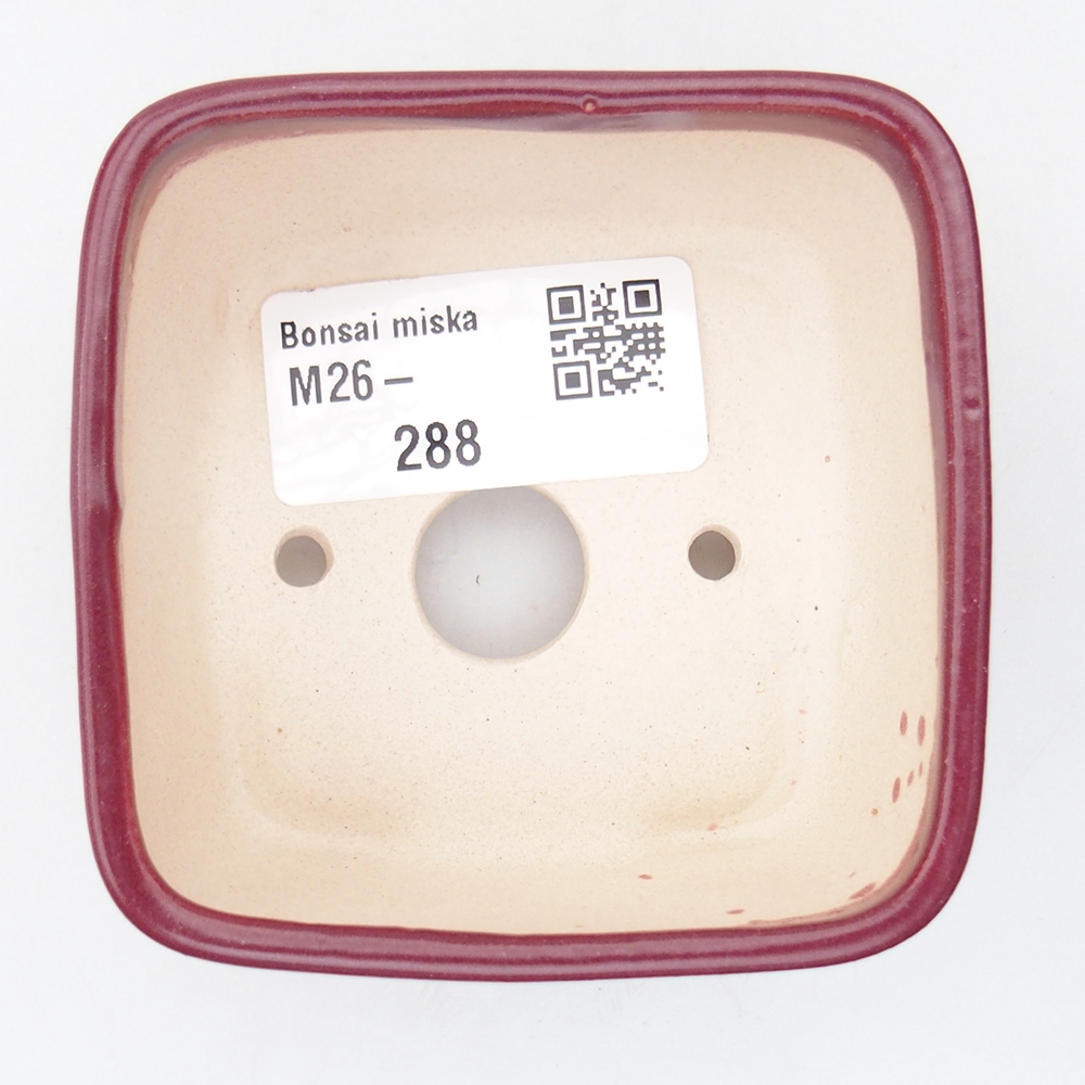 Mini bonsai tál 7 x 7 x 4 cm, bordó színű