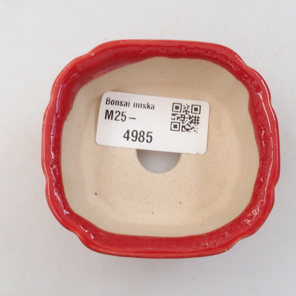 Mini bonsai tál 7 x 6,5 x 3 cm, piros színben