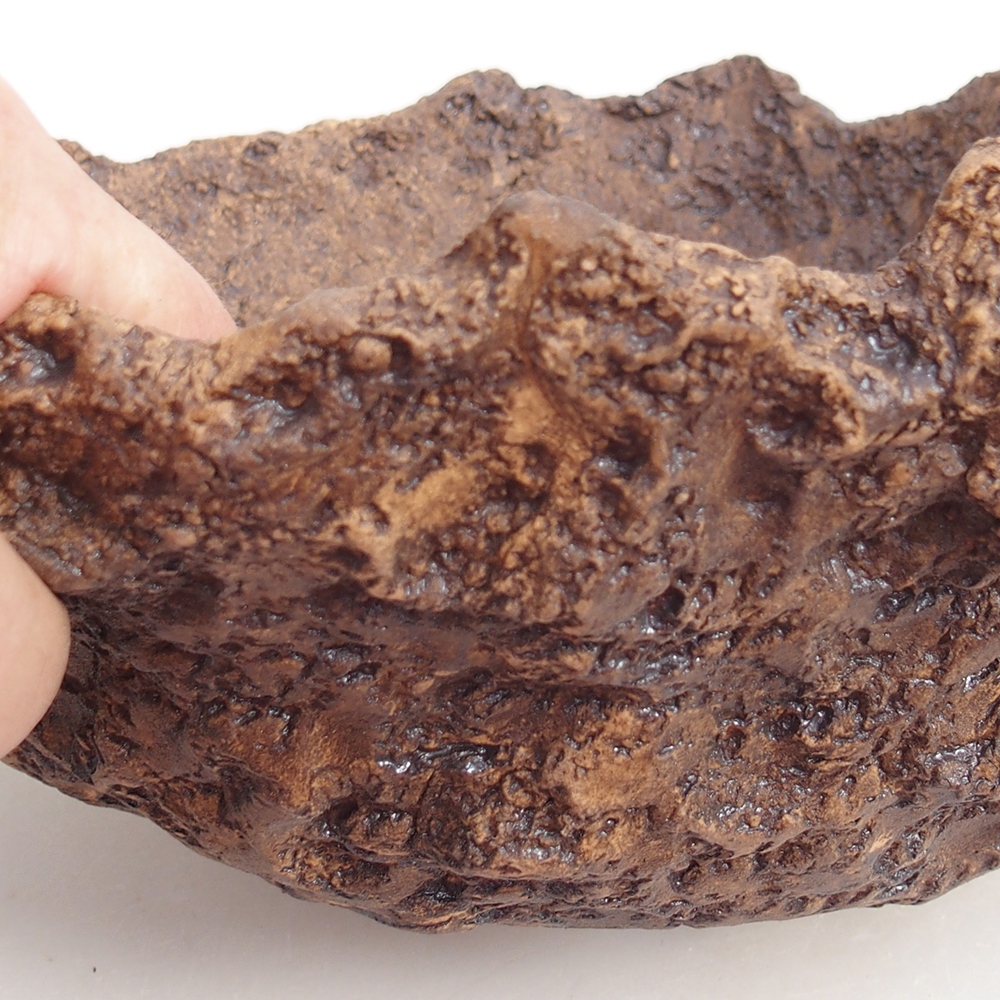 Kerámia kagyló 19 x 15 x 14 cm , barna színű