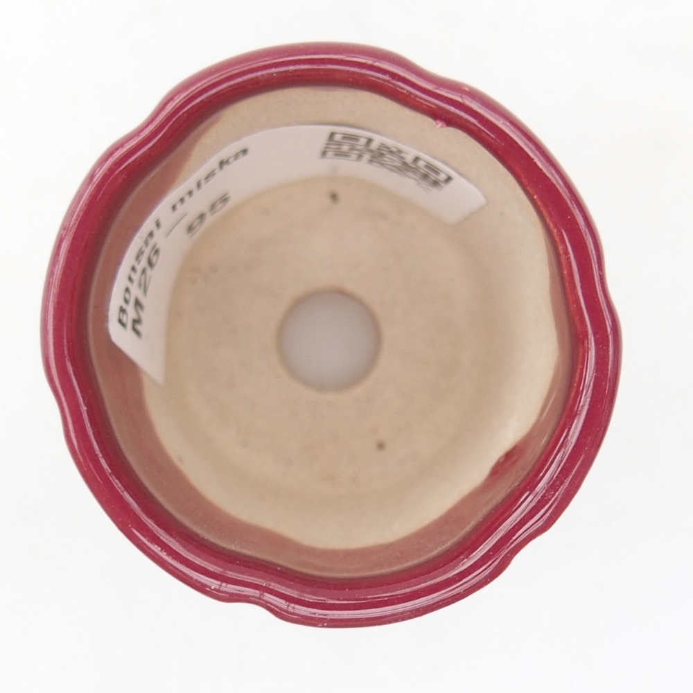 Mini bonsai tál 4 x 4 x 4,5 cm, bordó színű