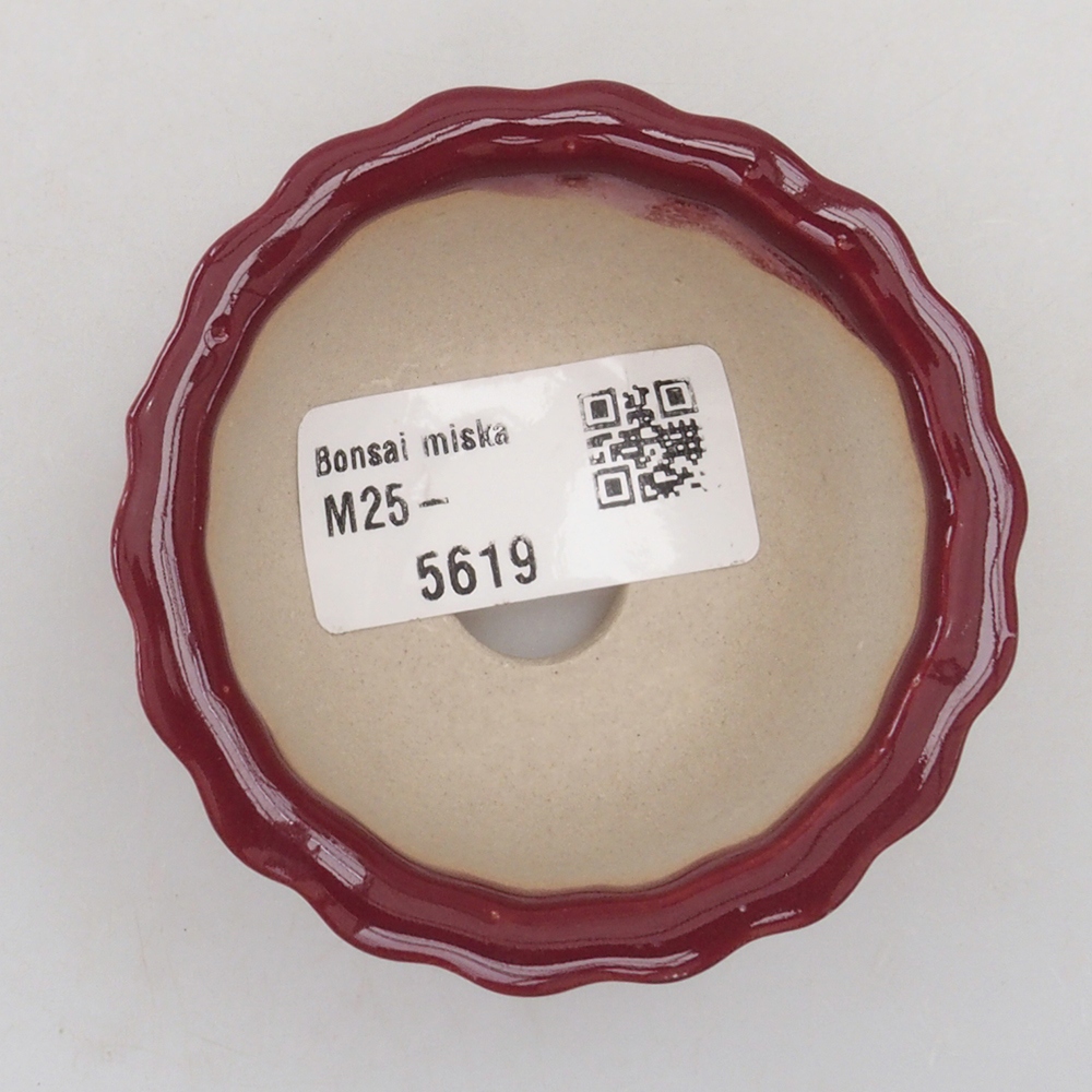 Mini bonsai tál 6,5 x 6,5 x 3,5 cm, bordó színű