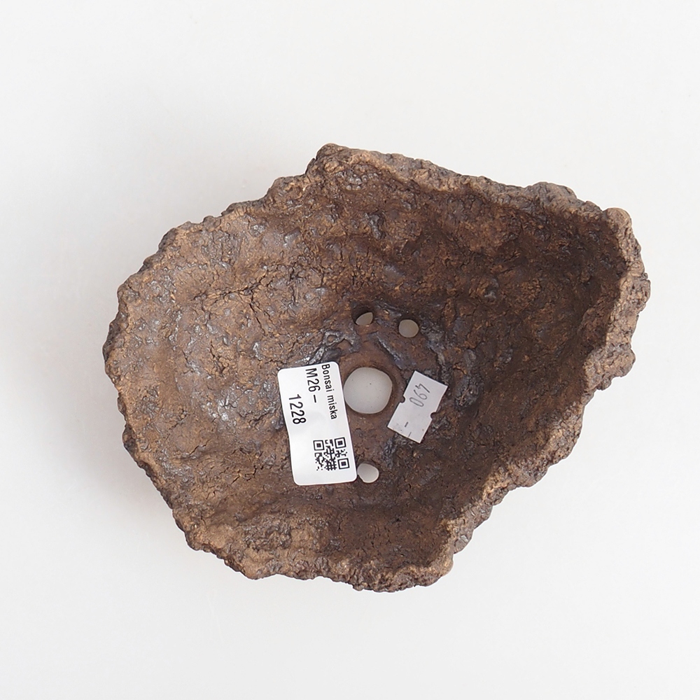 Kerámia kagyló 13 x 11 x 11 cm , színe barna