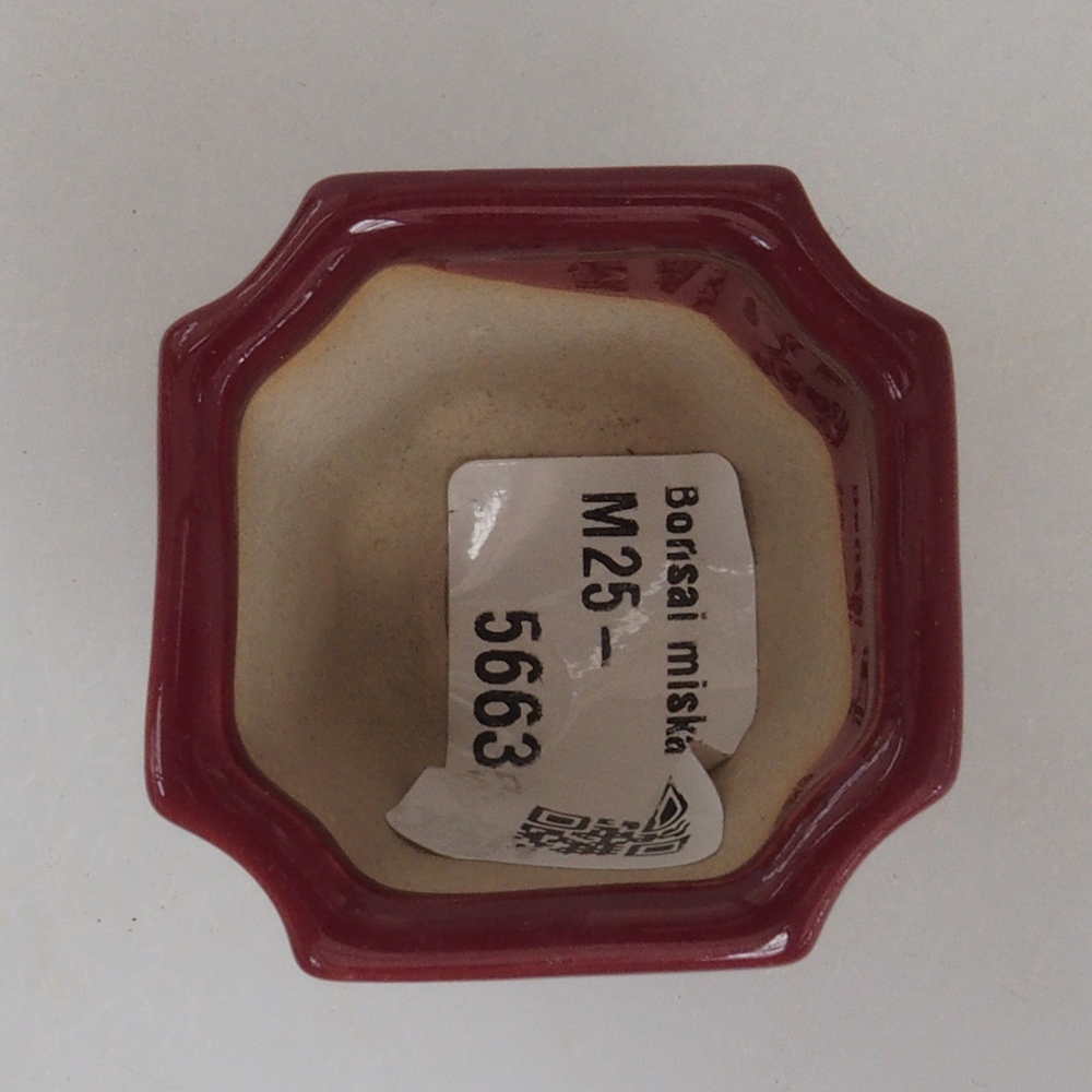 Mini bonsai tál 4 x 4 x 3,5 cm, bordó színű