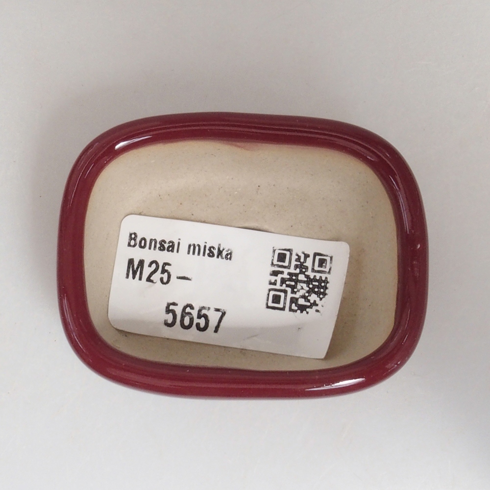 Mini bonsai tál 5,5 x 4,5 x 2 cm, bordó színben