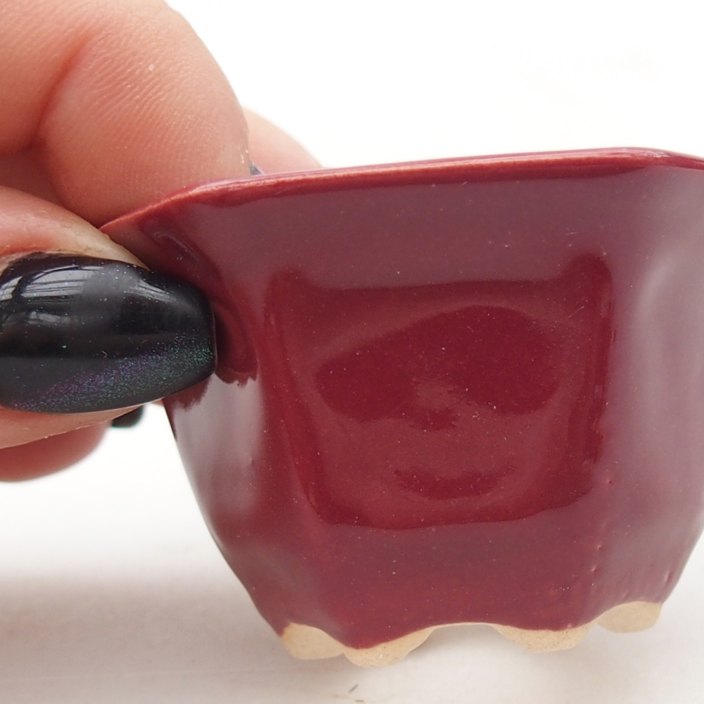 Mini bonsai tál 5,5 x 5 x 3 cm, bordó színben