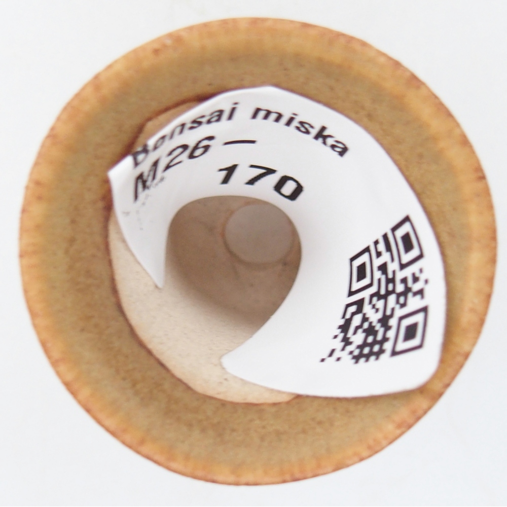 Mini bonsai tál 3 x 3 x 3,5 cm, barna