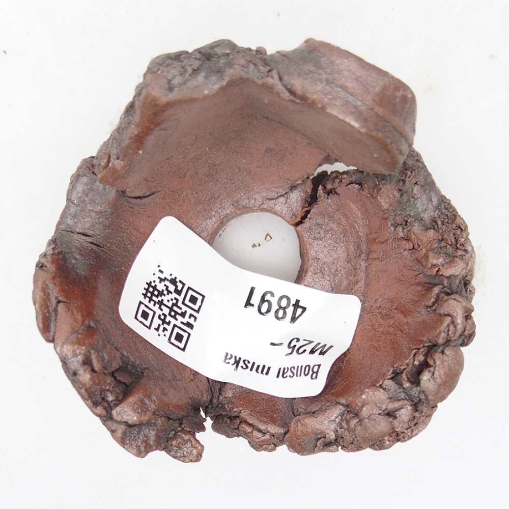 Kerámia kagyló 6 x 6 x 4 cm , színe barna