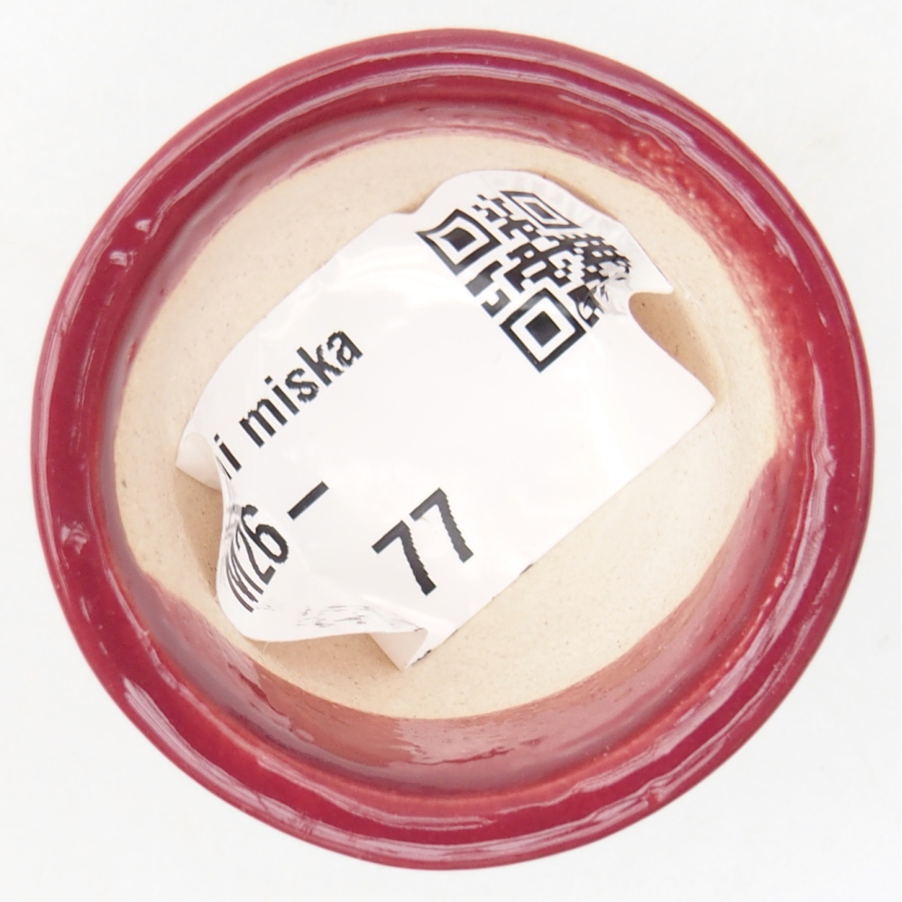 Mini bonsai tál 4 x 4 x 2 cm, bordó színben