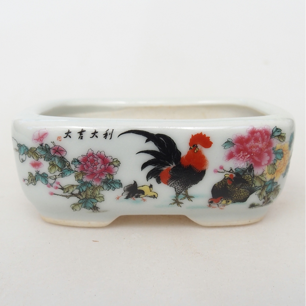 Mini bonsai tál 8 x 6 x 3 cm, fehér