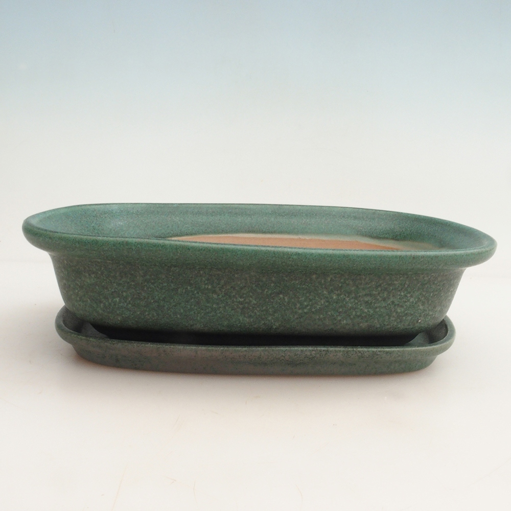 Bonsai tál + csészealj H25 - 23 x 17 x 5,5 cm.