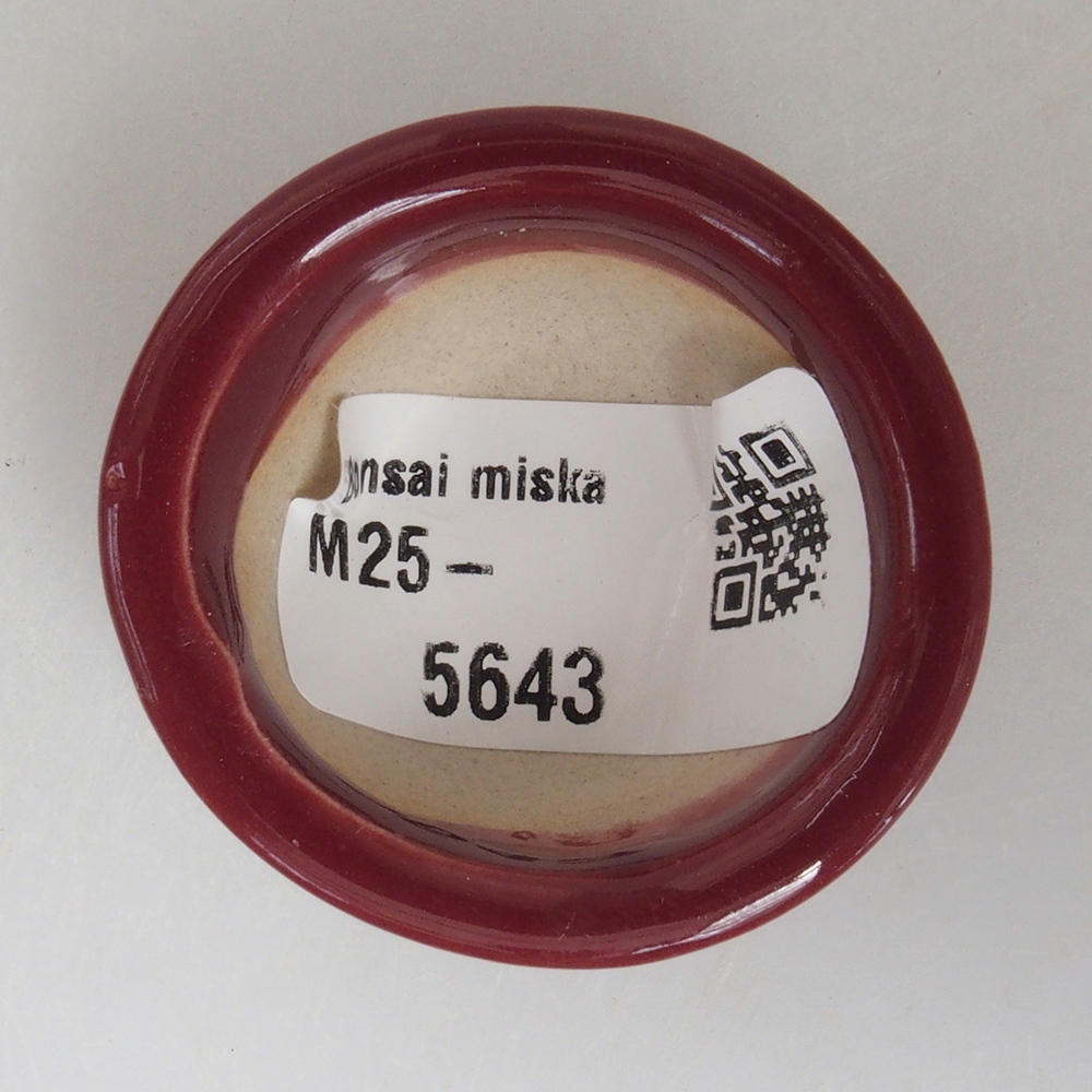 Mini bonsai tál 4 x 4 x 2 cm, bordó színben