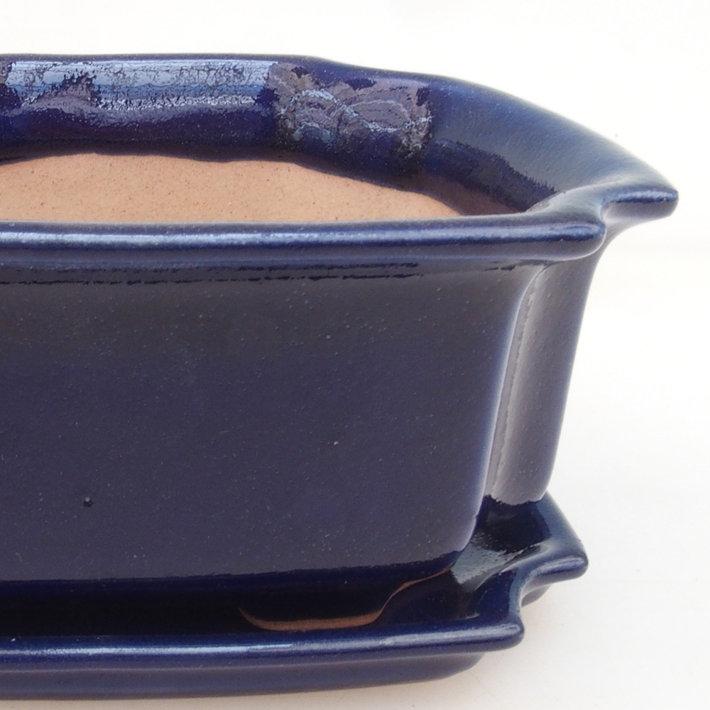 Bonsai tál + csészealj H01 - kék