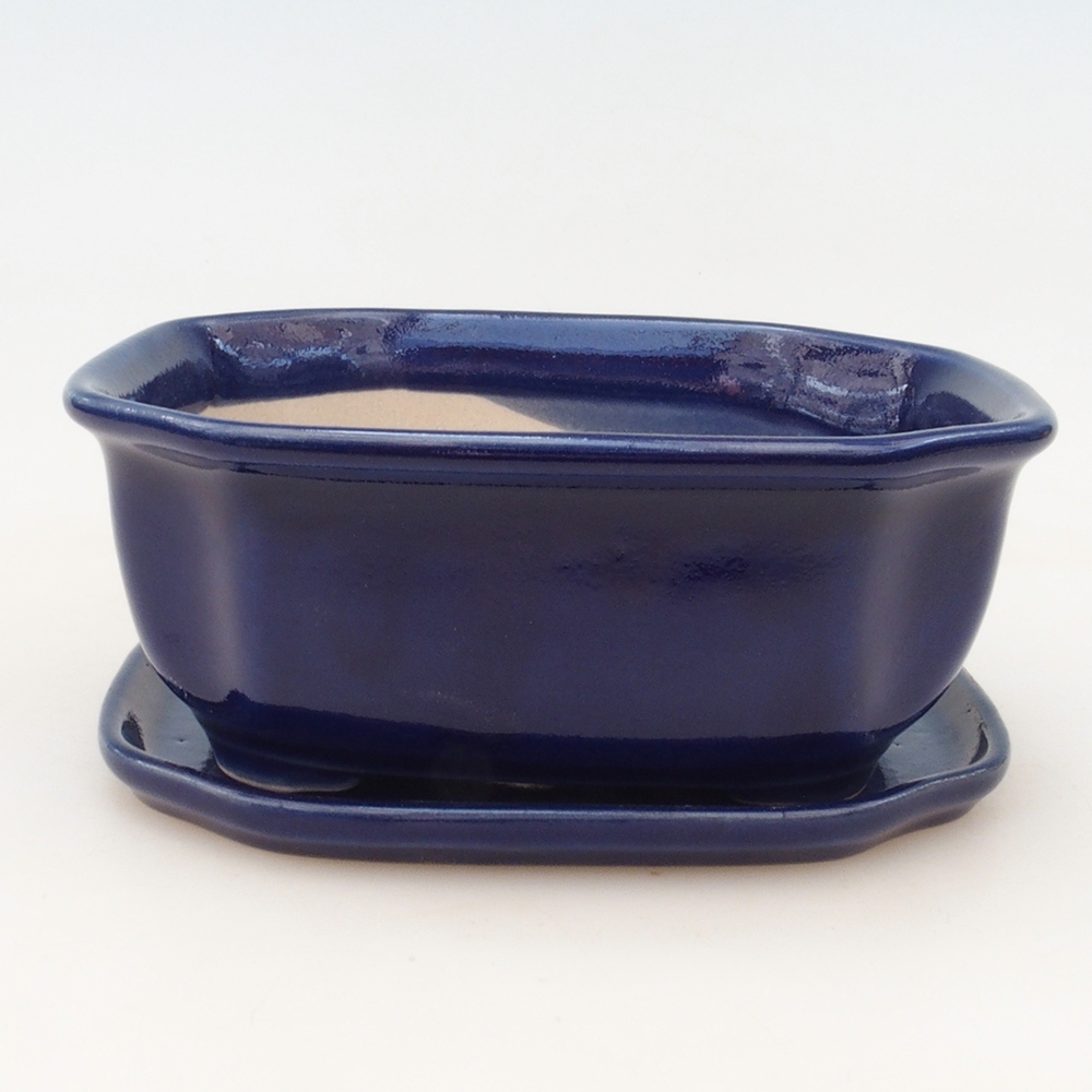 Bonsai tál + csészealj H32 - kék