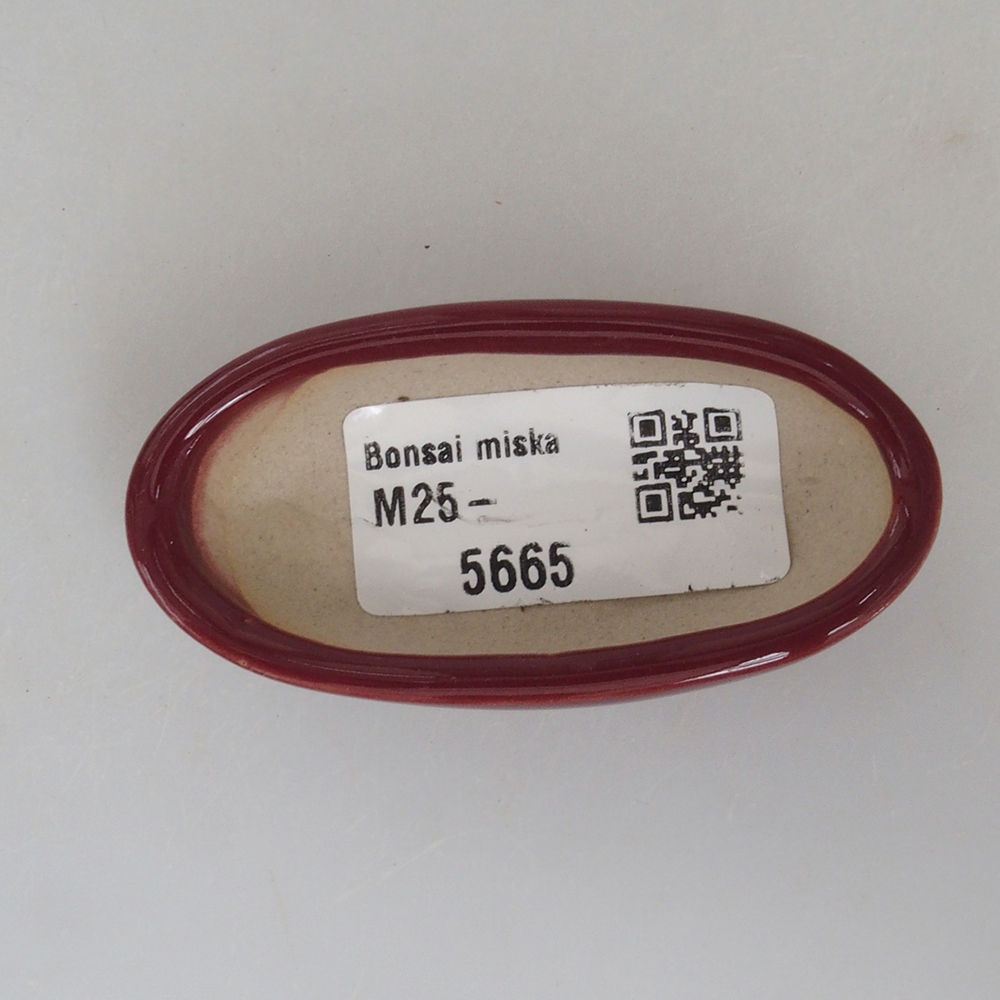 Mini bonsai tál 7 x 3 x 2 cm, bordó színű