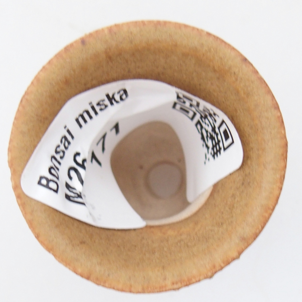 Mini bonsai tál 3 x 3 x 3,5 cm, barna