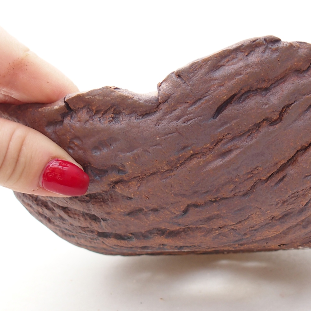 Kerámia kagyló 19 x 17 x 7 cm , színe barna