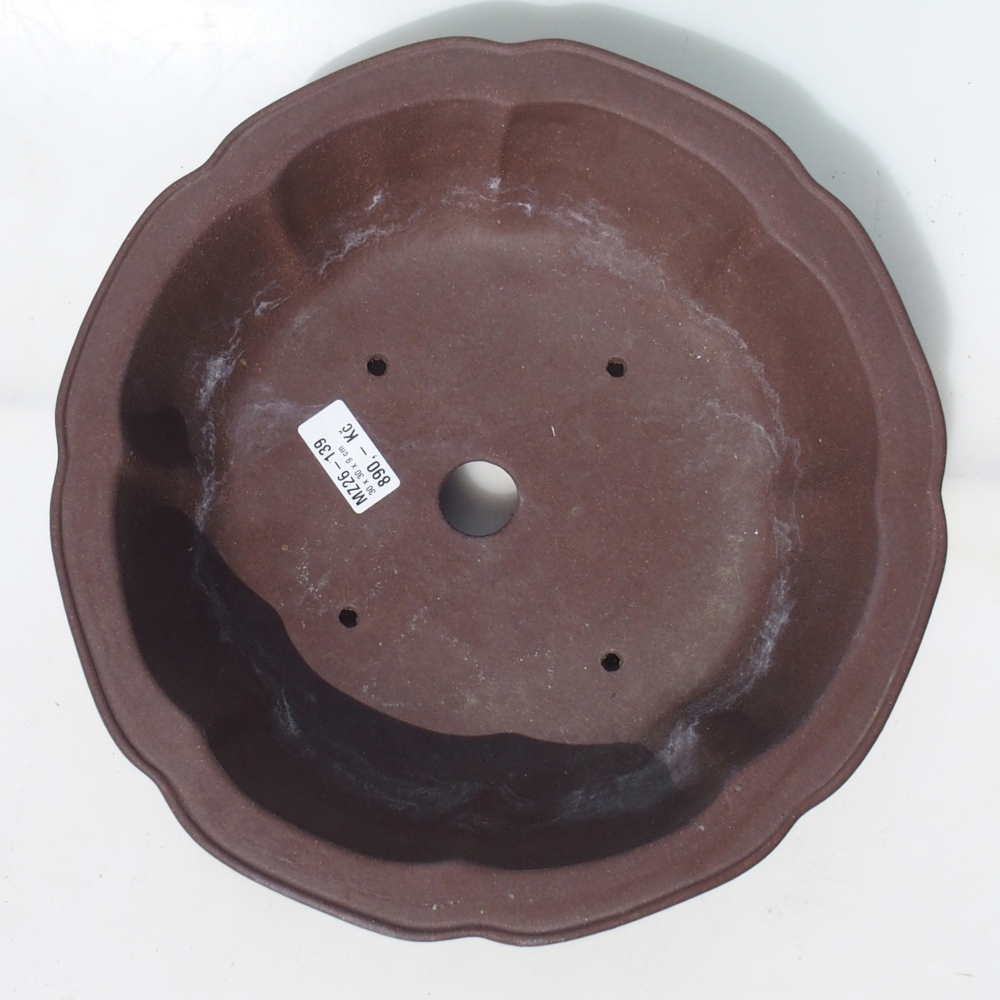 Bonsai tál 30 x 30 x 9 cm nyírfa barna