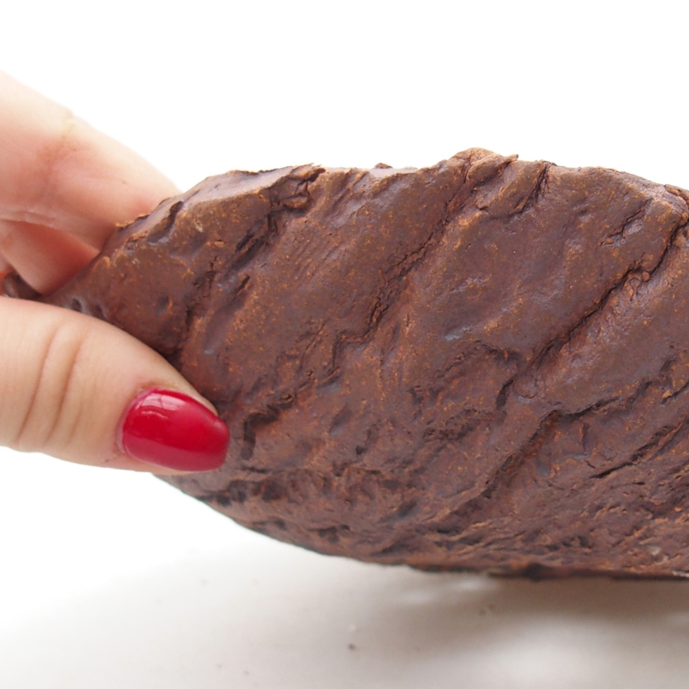 Kerámia kagyló 19 x 17 x 5 cm , színe barna