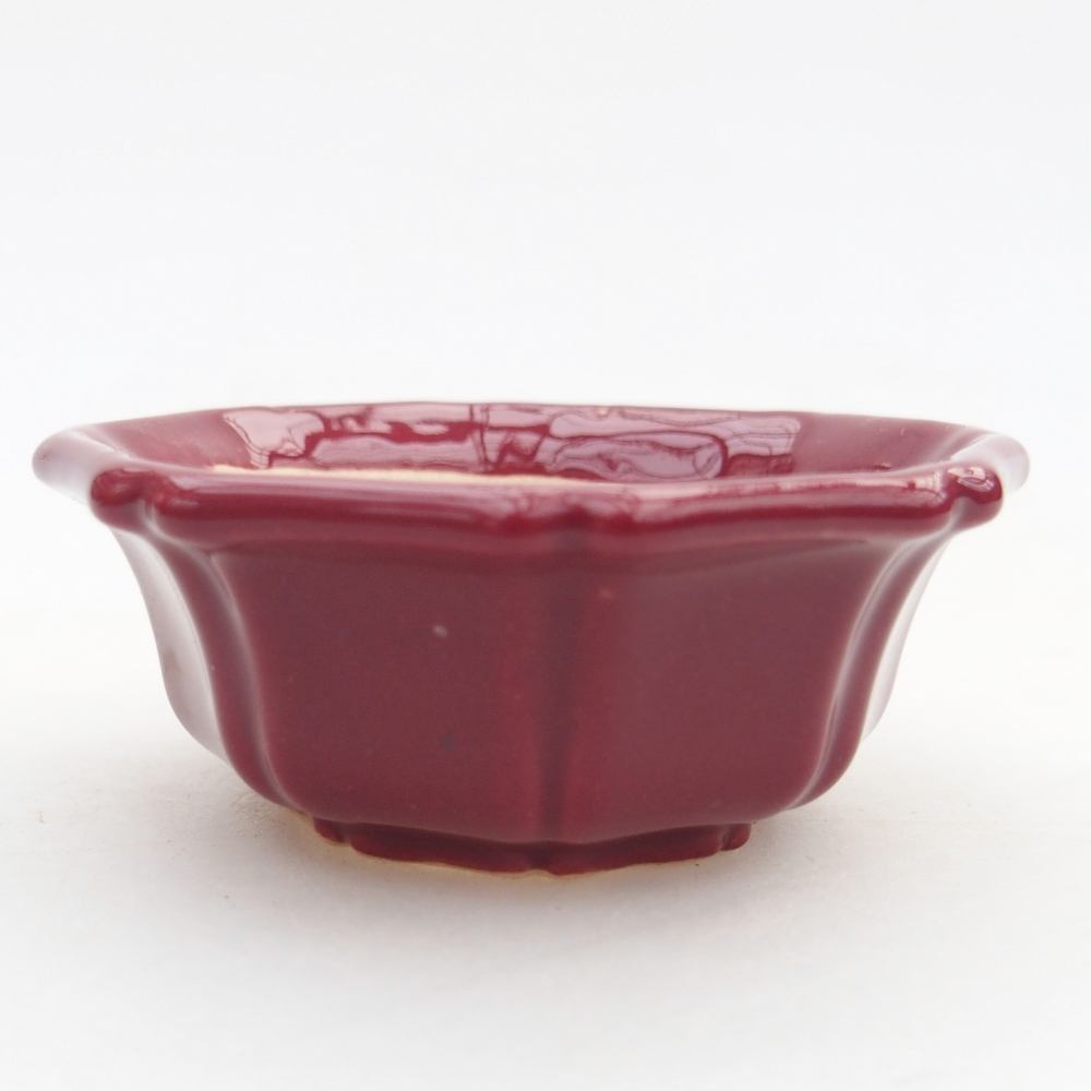 Mini bonsai tál 6 x 6 x 2,5 cm, bordó színű