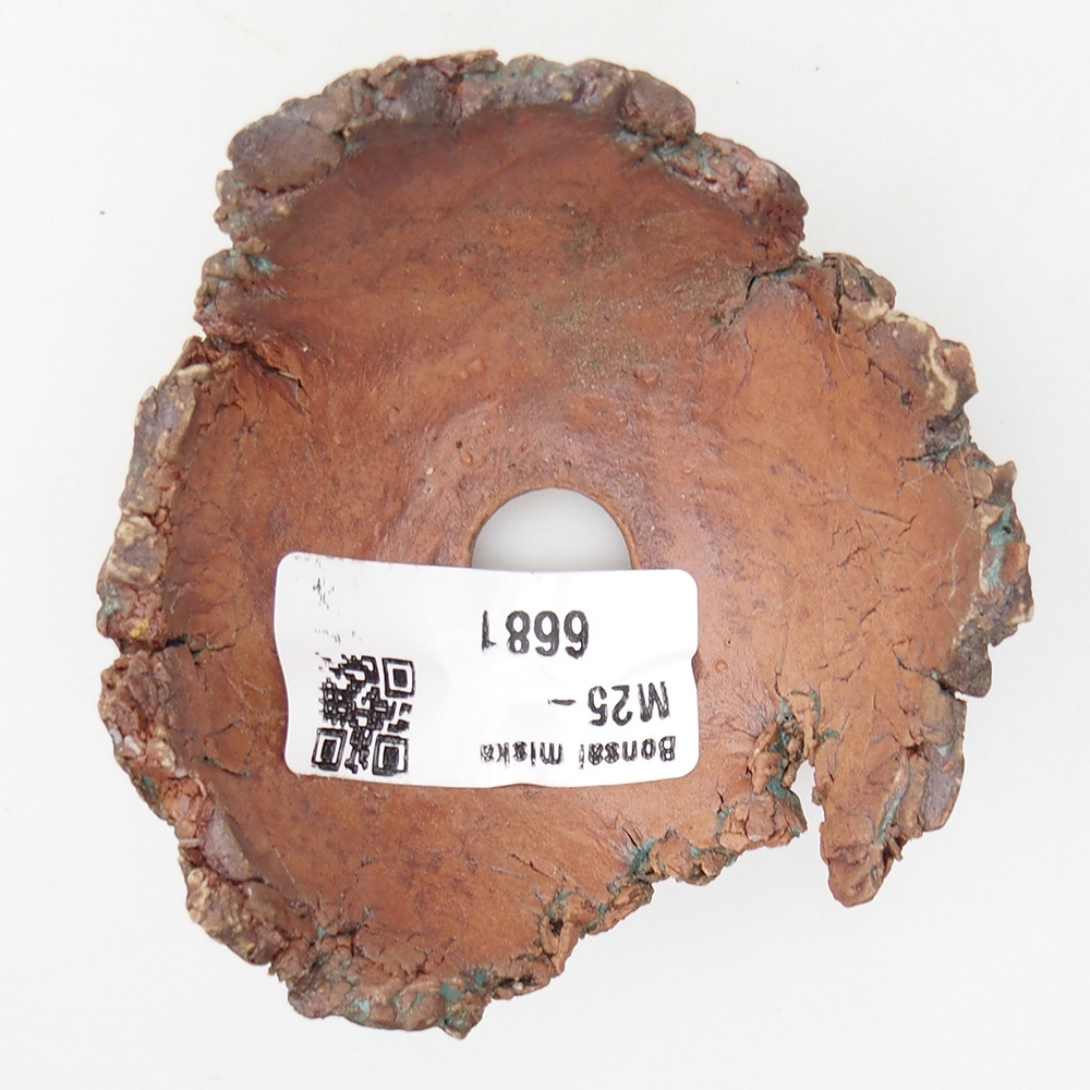 Kerámia kagyló 7,5 x 7 x 4 cm , zöld színű