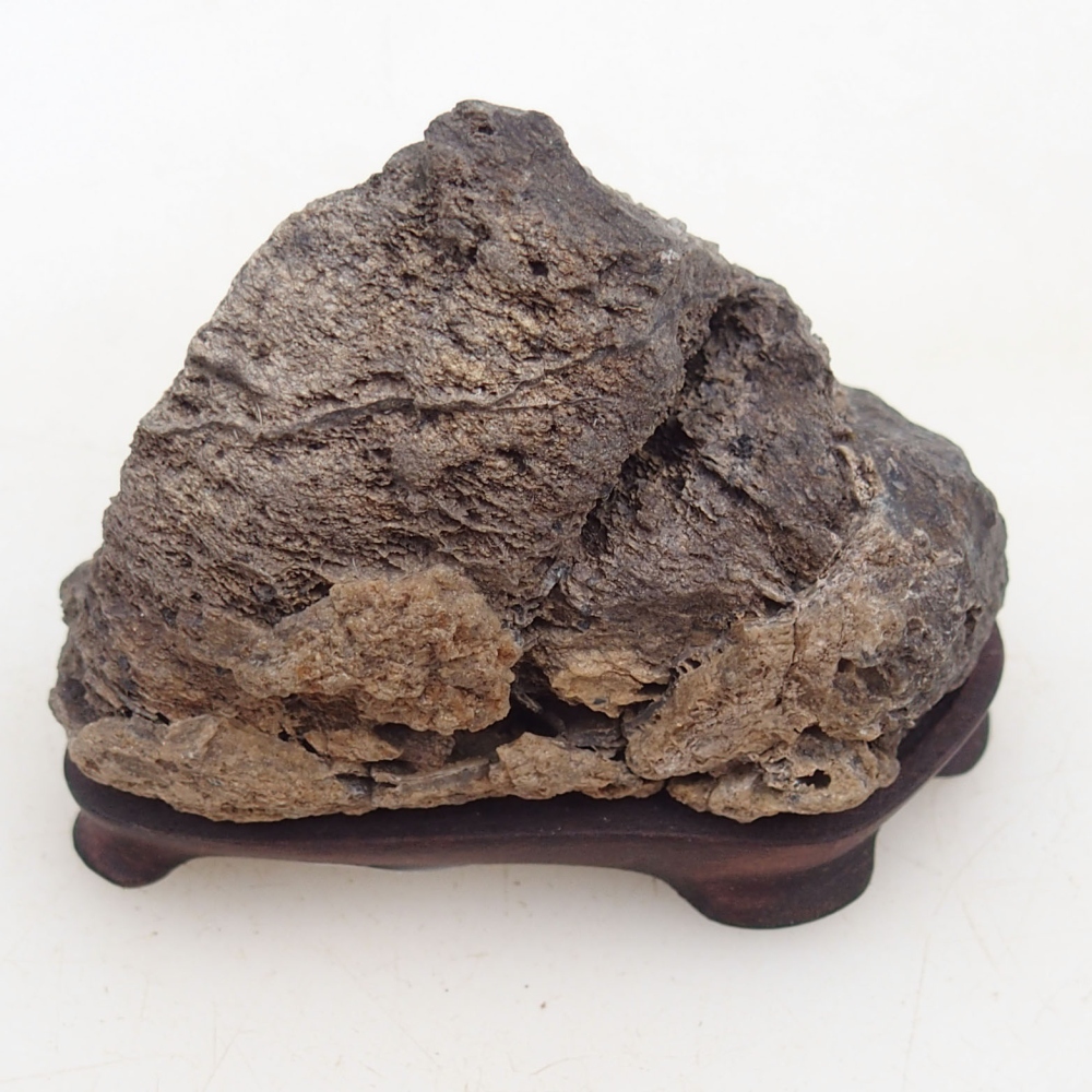 Suiseki - Kő DAI-val (fa alapon)