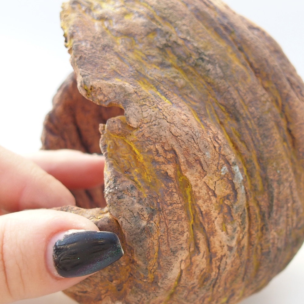 Kerámia kagyló 10 x 9 x 12 cm , sárga