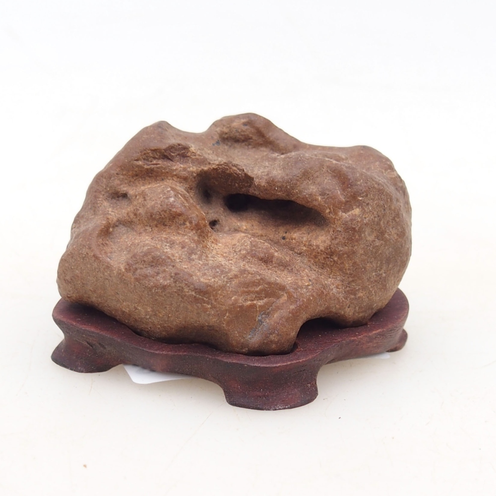 Suiseki - Kő DAI-val (fa alapon)