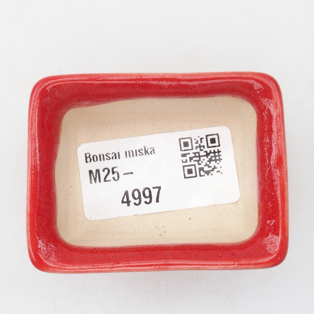 Mini bonsai tál 5,5 x 4 x 2,5 cm, piros színben