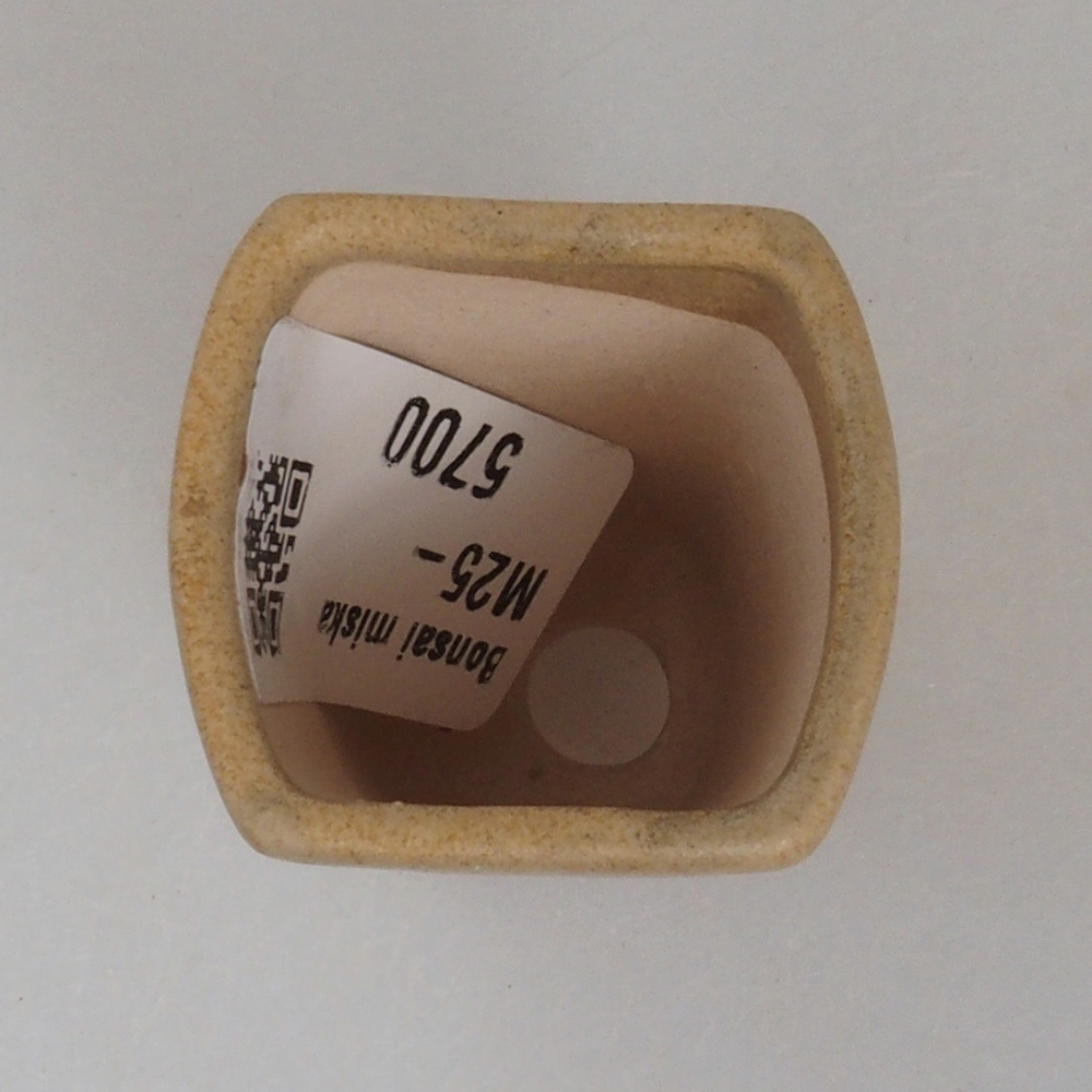 Mini bonsai tál 3,5 x 3 x 5 cm, barna