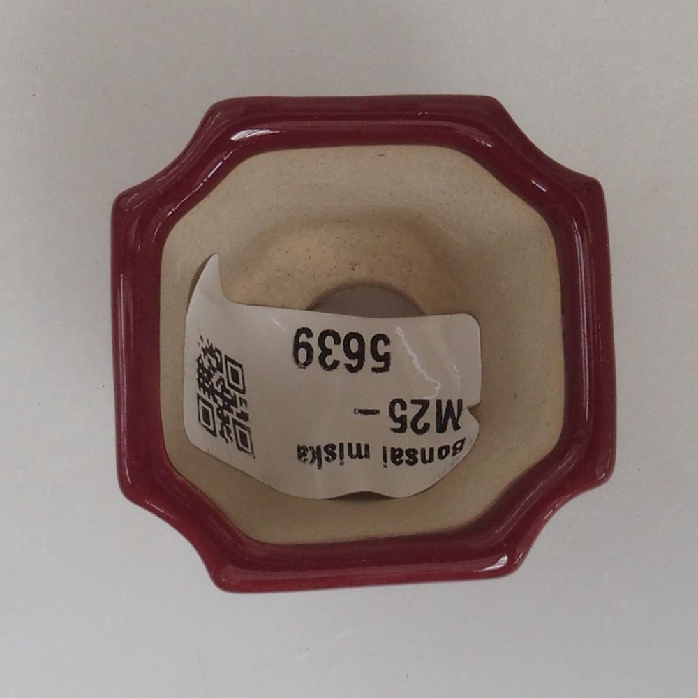 Mini bonsai tál 4 x 4 x 4 cm, bordó színű