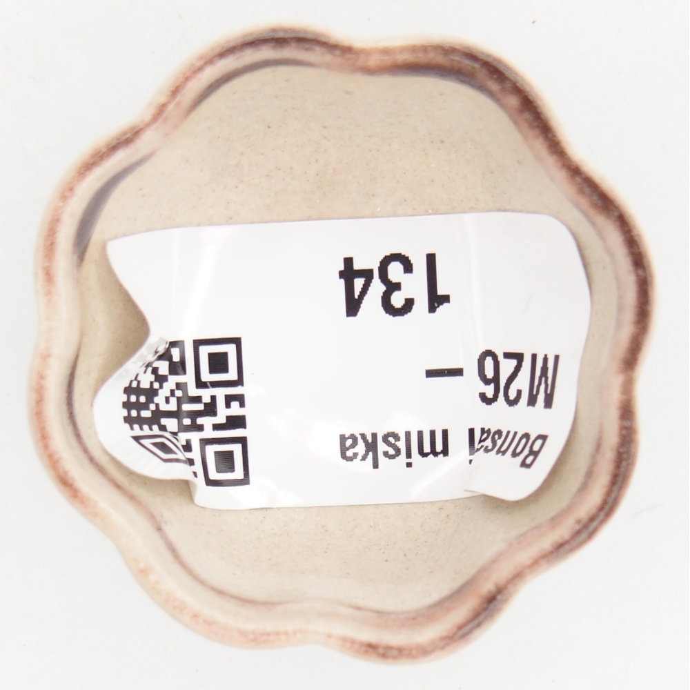 Mini bonsai tál 4 x 4 x 2 cm, piros színben