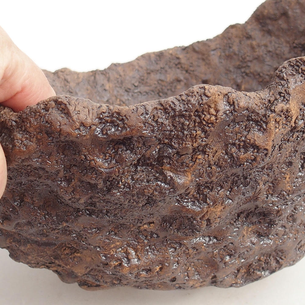 Kerámia kagyló 19 x 15 x 14 cm , barna színű