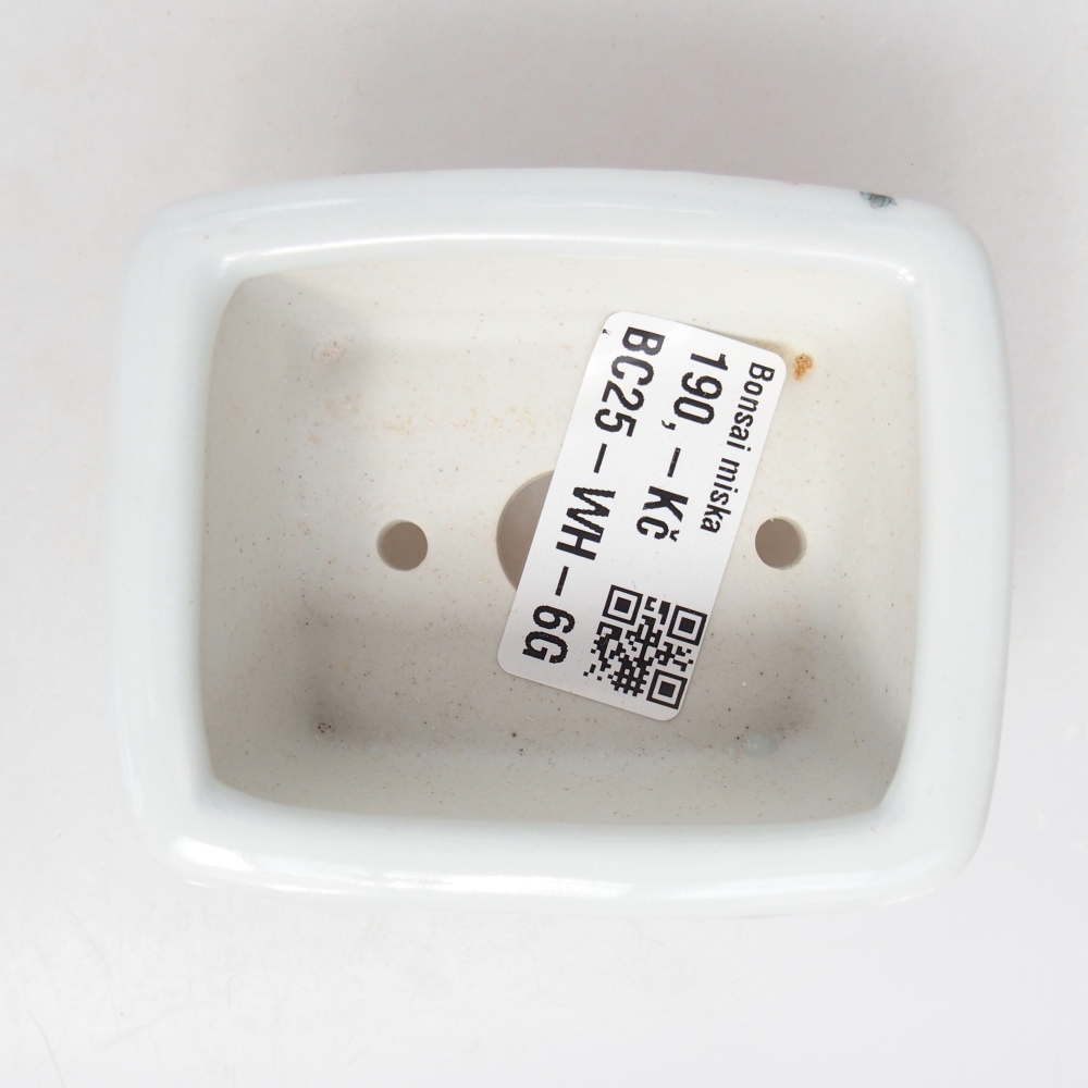 Mini bonsai tál 8 x 6,5 x 3,5 cm, fehér