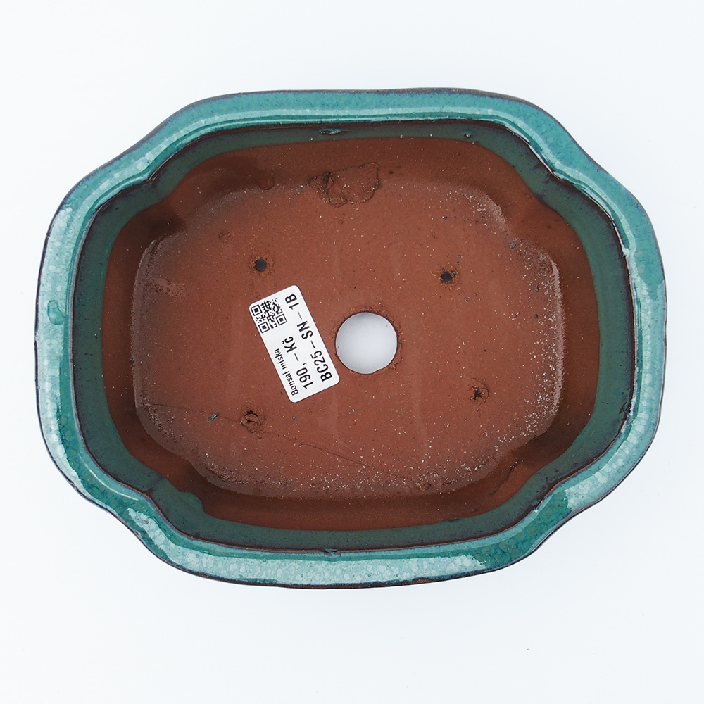 Tál 20 x 16 x 6,5 cm zöld-kék